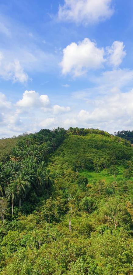 Klia Ehsan Residence Sepang Nilai Greenery 8 Pax Air-Con 外观 照片